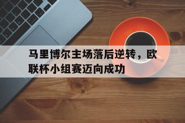 马里乌波尔联赛排名