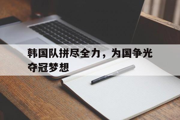 韩国队什么 韩国队什么