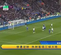 里昂无缘欧战 里昂无缘欧战